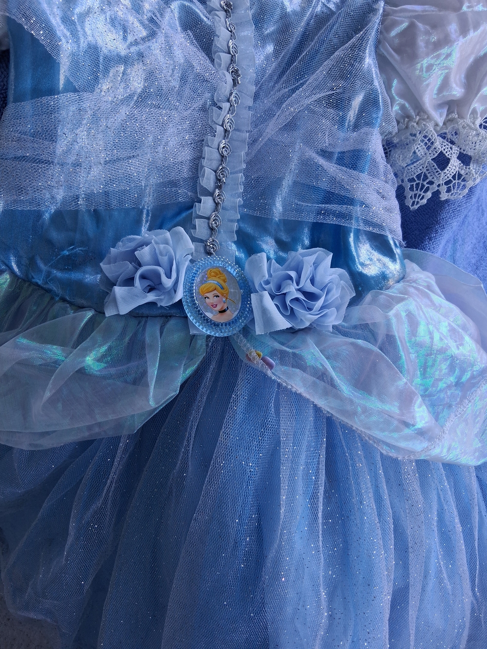 Blue Princess Tulle Dress with Character Pendant - Kids Costume